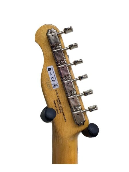 FgN(FUJIGEN)(エフジーエヌ(フジゲン)) / NTL101 NTL101/テレキャス