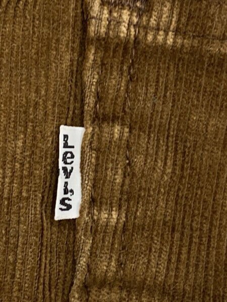 Levi's(リーバイス) / ストレートパンツ/--/コーデュロイ/BRW/無地/519