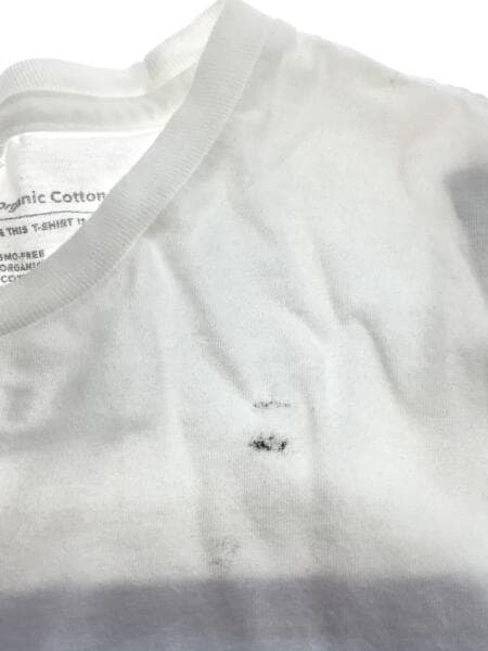 patagonia / Tシャツ/S/コットン/WHT/プリント// patagonia(パタゴニア) / Tシャツ/S/コットン/WHT/プリント | 古着の