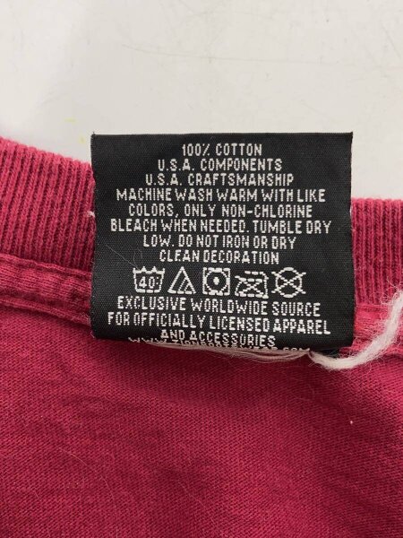 Zion(ザイオン) / Tシャツ/M/コットン/BRD | 古着の販売・通販なら