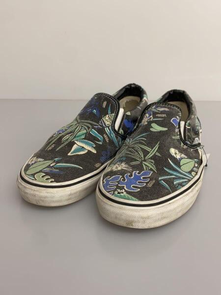 VANS(バンズ) / vandoren/オウム柄/ローカットスニーカー/US10 