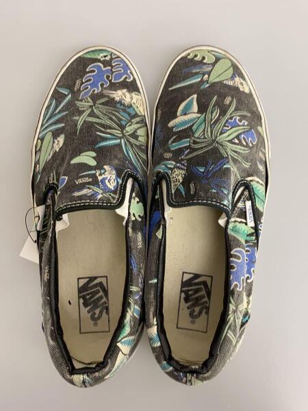VANS(バンズ) / vandoren/オウム柄/ローカットスニーカー/US10 