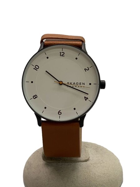 SKAGEN(スカーゲン) / 腕時計/アナログ/レザー/ブラウン/BLK/skw6883 