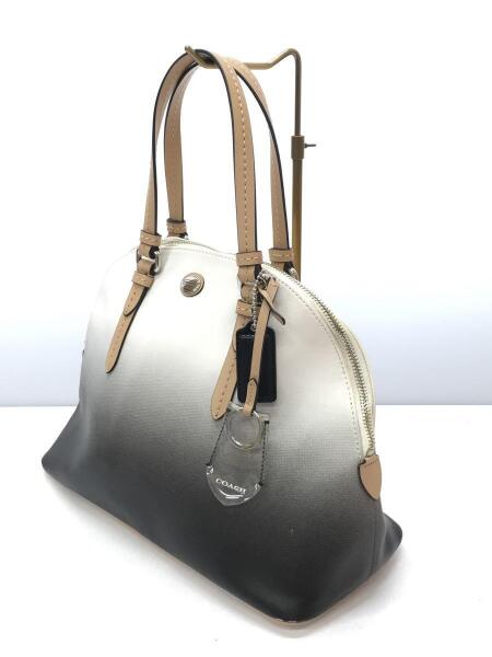 COACH(コーチ) / ペイトンオンブル/ハンドバッグ/PVC/BLK/F29282 