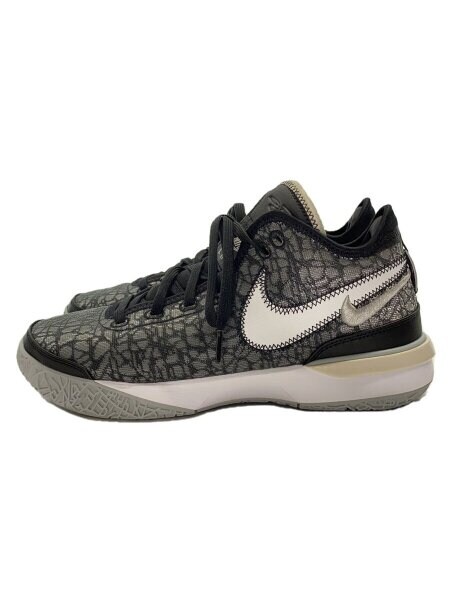 NIKE(ナイキ) / ZOOM LEBRON NXXT GEN EP_ズーム レブロン/26.5cm/BLK