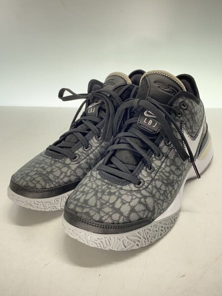NIKE(ナイキ) / ZOOM LEBRON NXXT GEN EP_ズーム レブロン/26.5cm/BLK