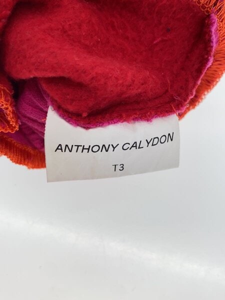 その他ブランド(ソノタブランド) / ANTHONY CALYDON/手袋/--/PNK/無地