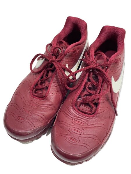 NIKE(ナイキ) / AIR MAX PLUS TNPO_エア マックス プラス TNPO/27.5cm 