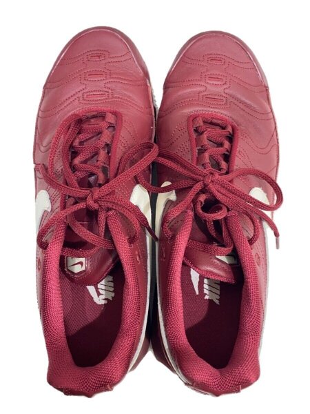 NIKE(ナイキ) / AIR MAX PLUS TNPO_エア マックス プラス TNPO/27.5cm 