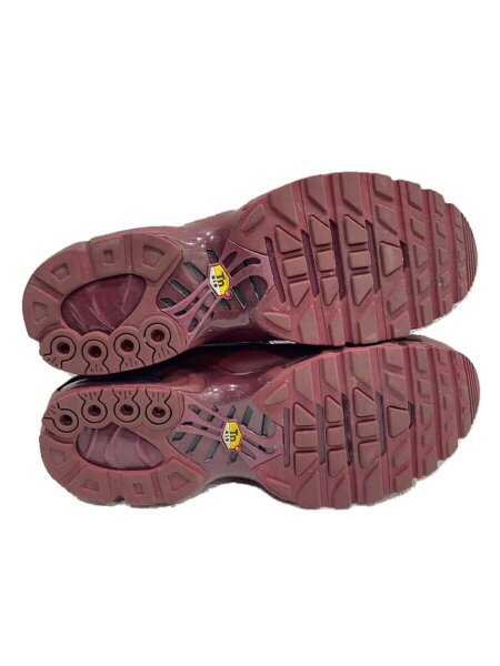 NIKE(ナイキ) / AIR MAX PLUS TNPO_エア マックス プラス TNPO/27.5cm 
