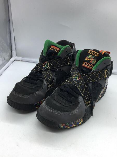 NIKE(ナイキ) / ハイカットスニーカー/27.5cm/BLK/DC1494-001 | 中古品 