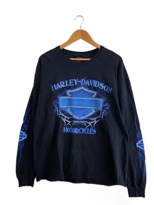 HARLEY DAVIDSON(ハーレーダヴィッドソン) / 袖フレイム/長袖Tシャツ