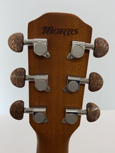 Morris アコースティックギター 6弦 Morris アコースティックギター 6弦