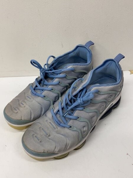 NIKE(ナイキ) / AIR VAPORMAX PLUS/28.5cm/BLU// | 中古品の販売・通販 