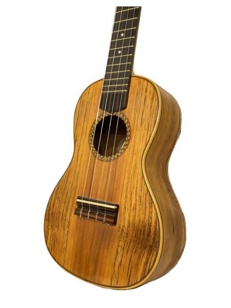 レア 【10IT高岡10011C】Lehua ukulele ウクレレ ハードケース付き 