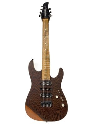 dragonflyのエレキギター検索結果|中古品の通販サイト セカンド
