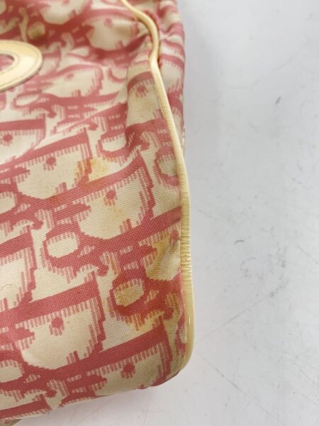 Christian Dior(クリスチャンディオール) / トロッター/ウエストバッグ