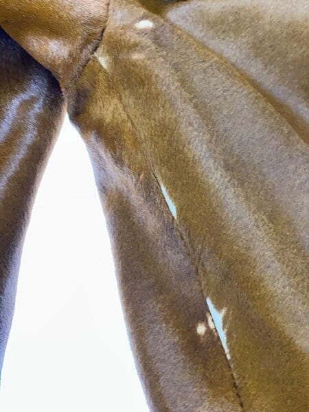 DOLCE&GABBANA(ドルチェアンドガッバーナ) / ハラコ/フーデッドファー