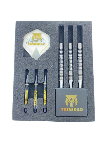 リカルド トリニダード バレル TiTO限定 ダーツ バレル TRiNiDAD