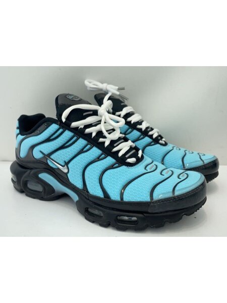 NIKE(ナイキ) / AIR MAX PLUS_エア マックス プラス/26cm/BLU// | 中古 