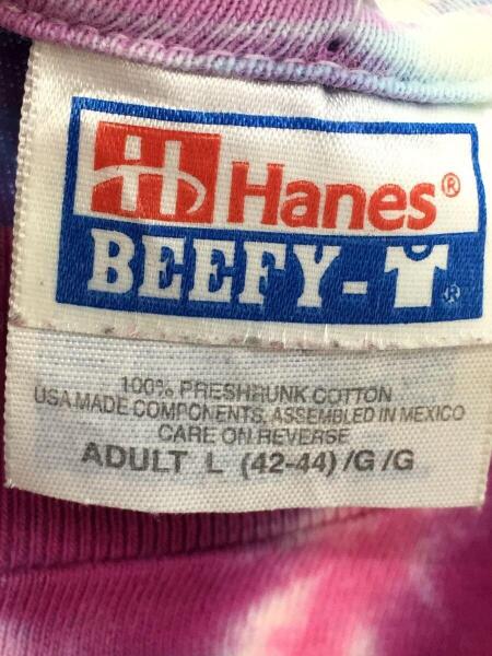 Hanes(ヘインズ) / 90s/タイダイ柄ロングTシャツ/L/コットン/PUP 