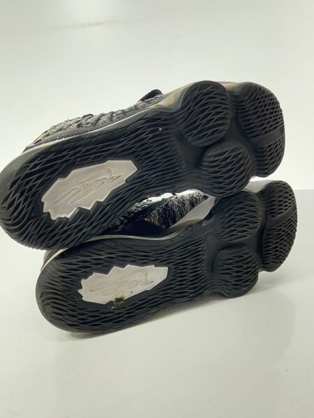 NIKE(ナイキ) / LEBRON XVII/レブロン17/ブラック/BQ3177-002/27cm/BLK