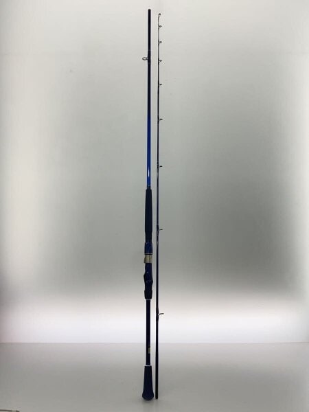 DAIWA / 05500693 シーパワー 73 50-240・N(2ピース) 05500693 DAIWA([スポーツ]ダイワ) / 05500693 シーパワー 73 50-240・N(2ピース