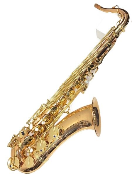 YANAGISAWA(ヤナギサワ) / T-WO20 【動作確認済】T-WO20/YANAGISAWA 