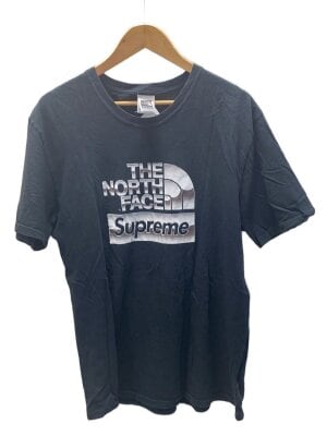 THE NORTH FACE(ザノースフェイス) / Tシャツ/L/青/ブルー/丹後