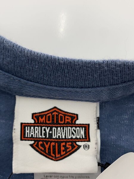 HARLEY DAVIDSON(ハーレーダヴィッドソン) / Tシャツ/3L/コットン/IDG