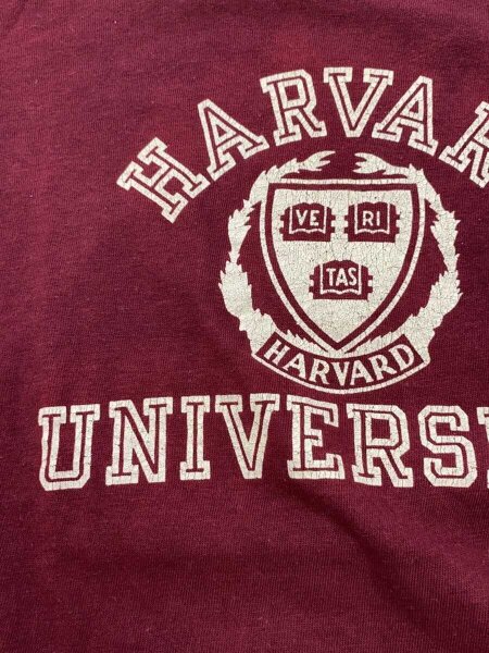 Champion(チャンピオン) / 80s前期/トリコタグ/MADE IN USA/HARVARD
