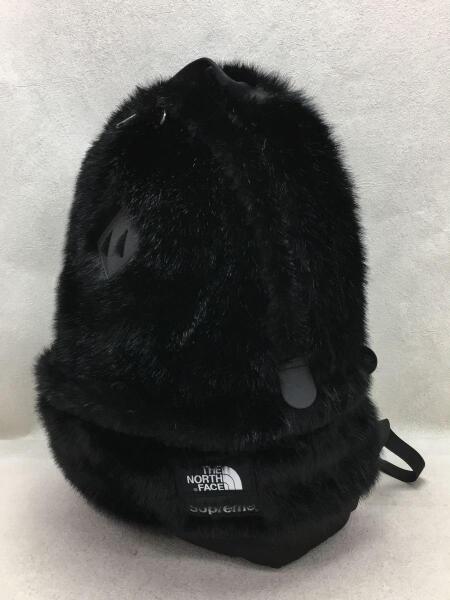 THE NORTH FACE(ザノースフェイス) / 20AW/Faux Fur Backpack/リュック 