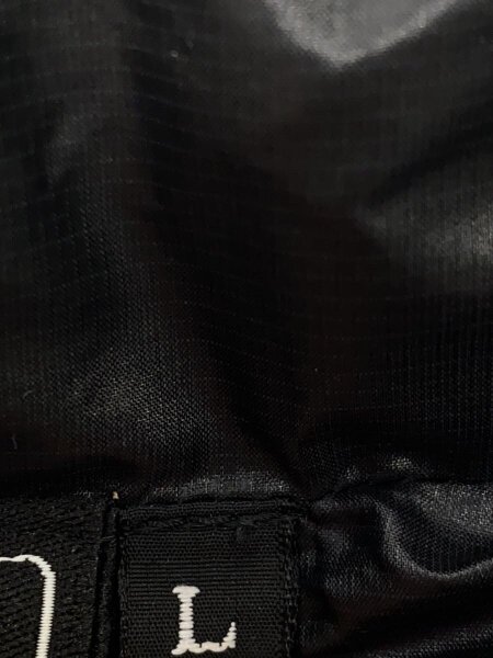 THE NORTH FACE(ザノースフェイス) / ダウンベスト/L/ナイロン/BLK 