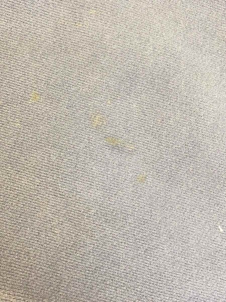 JANSPORT(ジャンスポーツ) / スウェット/--/コットン/NVY | 古着の販売