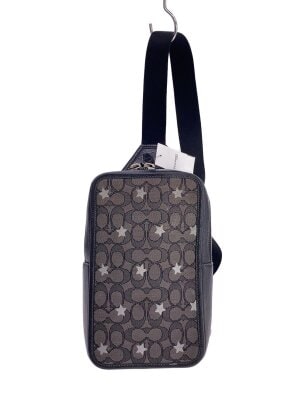 バッグのcoach シグネチャーに該当する検索結果|中古品の通販サイト