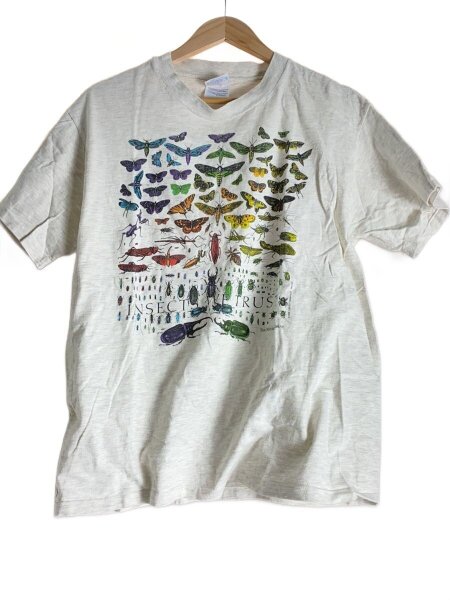 Hanes(ヘインズ) / 90s/NSECTs WE TRUST/Tシャツ/L/コットン/GRY 