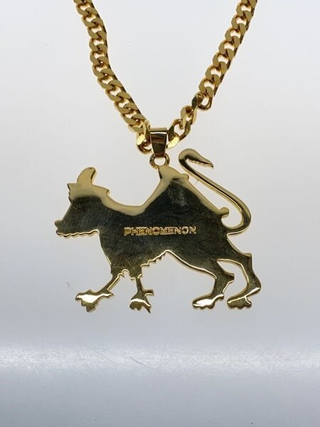 PHENOMENON(フェノメノン) / ネックレス/ステンレス/GLD/トップ有 