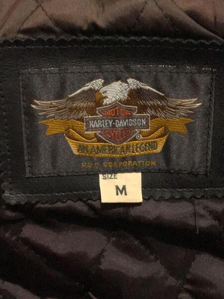 HARLEY DAVIDSON(ハーレーダヴィッドソン) / シングルライダース