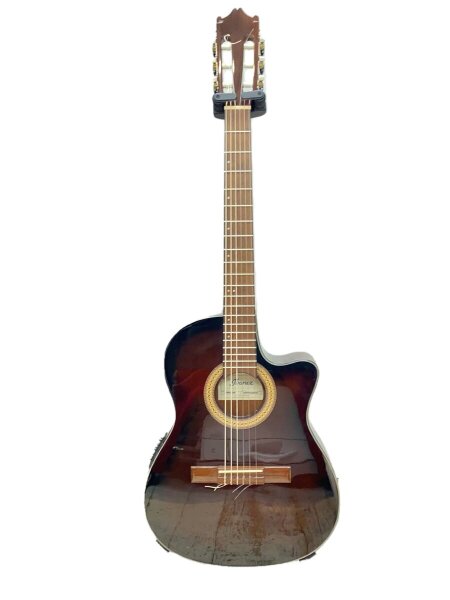 Ibanez(アイバニーズ) / GA30TCE-DVS クラシックギター/クラシック/BRW 