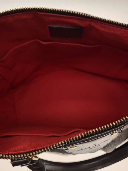 LOUIS VUITTON(ルイヴィトン) / シエナMM_ダミエ・エベヌ/PVC/BRW