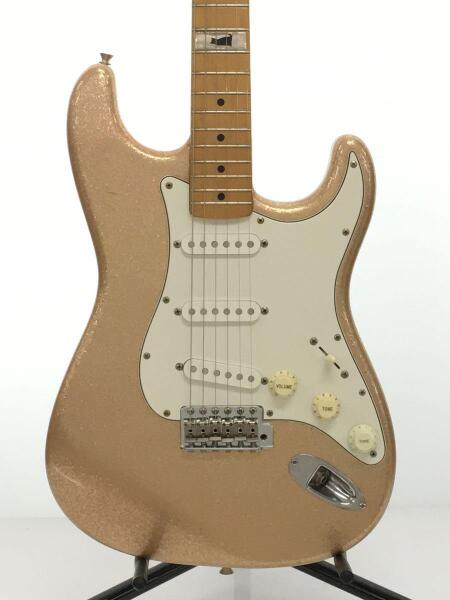 フェルナンデス　エレキギター　ストラトタイプ FERNANDES フェルナンデス LE-1Z 3S HSP/M エレキギター