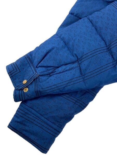 visvim(ヴィズヴィム) / ダウンジャケット/3/コットン/BLU