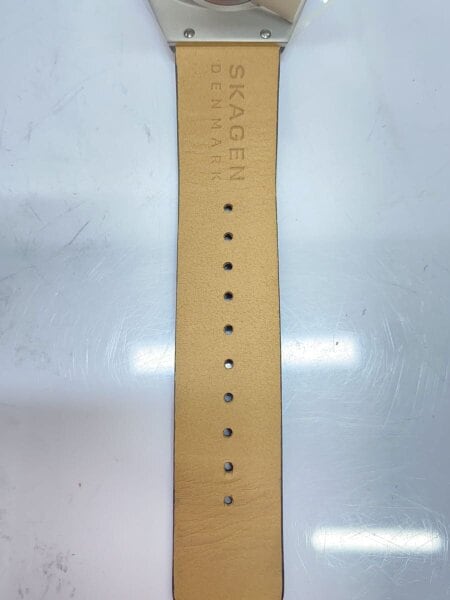 SKAGEN(スカーゲン) / クォーツ腕時計/アナログ/レザー/NVY/BLK/SS