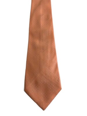 LOUIS VUITTONのネクタイ検索結果|古着・中古品の通販サイト セカンド