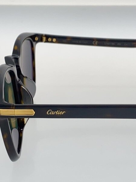 Cartier(カルティエ) / サングラス/ウェリントン/プラスチック/BRW/GRN