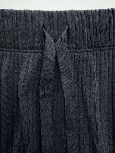 PLEATS PLEASE ISSEY MIYAKE(プリーツプリーズイッセイミヤケ