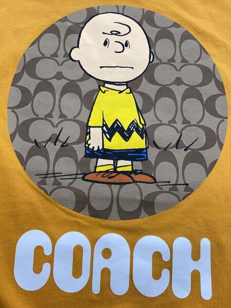 ピーナッツチャーリー Coach チャーリーブラウン シャツ スヌーピー
