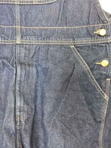 Carhartt(カーハート) / WO/オーバーオール/32/デニム/IDG/無地 | 古着