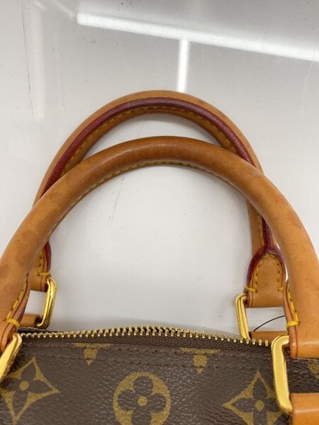 未使用◽️ルイ・ヴィトン モノグラム・ダンテ ェル スピーディ30 アルジャン LOUIS VUITTON(ルイヴィトン) / スピーディ30_モノグラム・ダンテェル_